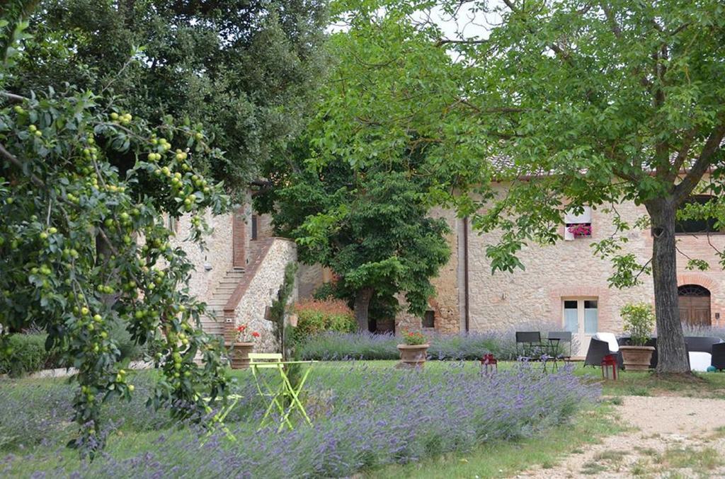 Agriturismo La Segolina Colle Val D'Elsa Esterno foto