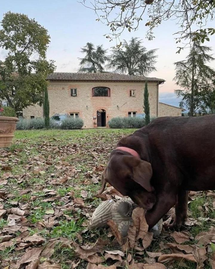 Agriturismo La Segolina Colle Val D'Elsa Esterno foto