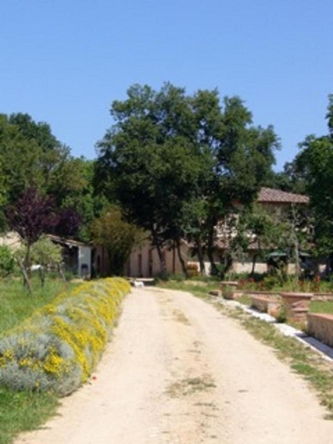 Agriturismo La Segolina Colle Val D'Elsa Esterno foto